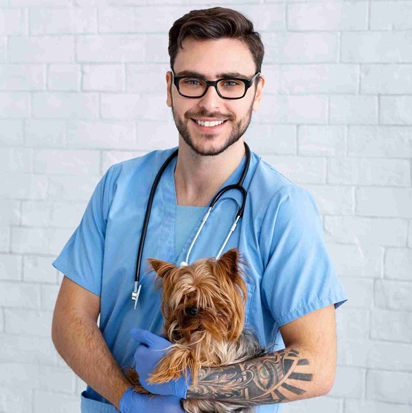 why-pet-consultation-matters-before-bringing-home-a-pet