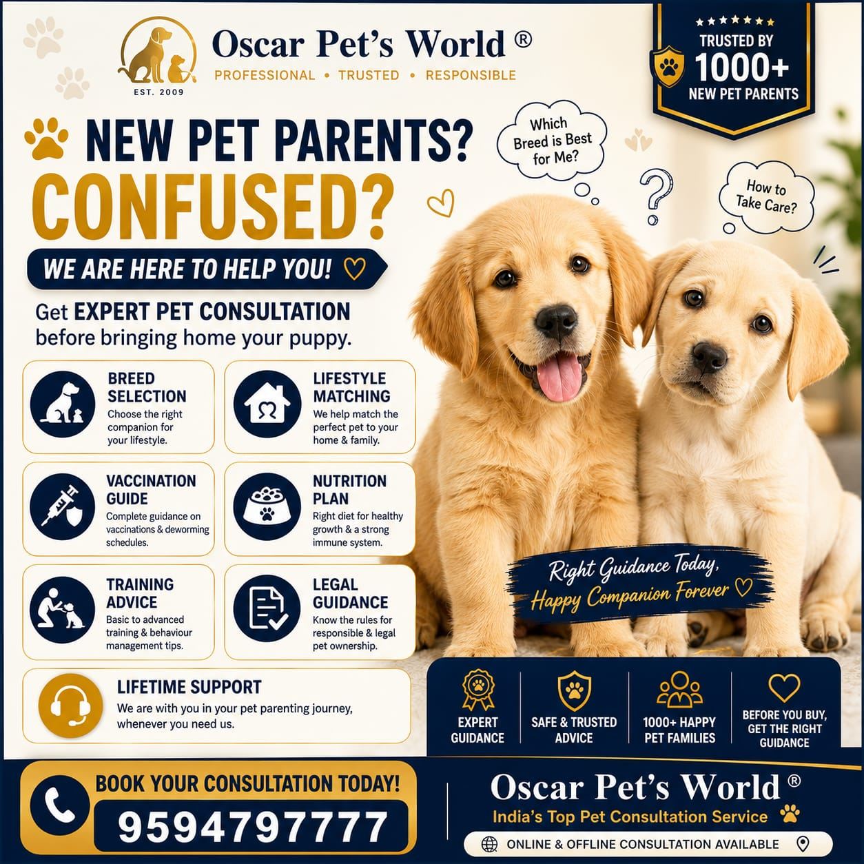 Trusted Pet Consultation for New Pet Parents